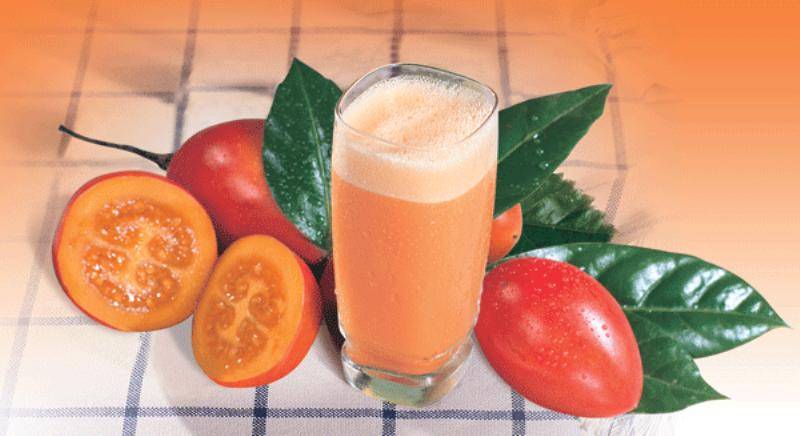 JUGO TOMATE EN AGUA